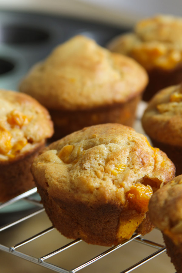these whole wheat mango muffins are bursting with mango flavor and are very moist! simple to make and delicious!