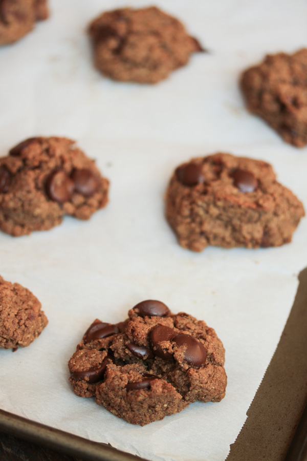 these gluten free, dairy free, no refined sugar added almond butter chocolate chip cookies are quick and DELICIOUS! 6 ingredients + 20 minutes = cookies