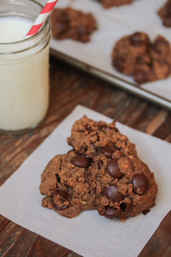 these gluten free, dairy free, no refined sugar added almond butter chocolate chip cookies are quick and DELICIOUS! 6 ingredients + 20 minutes = cookies