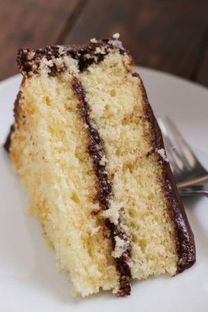 yellow cake with chocolate frosting | tasty seasons